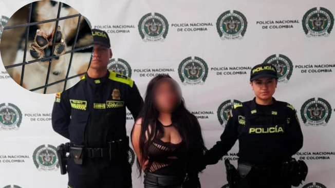 La mujer fue capturada por la Policía