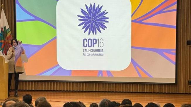 COP 16, sede Colombia.