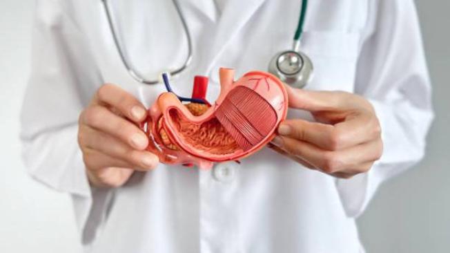 Pancreas