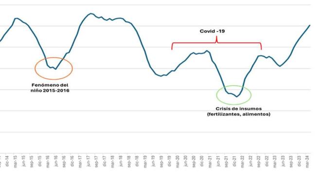 Figura 2. Volúmenes anualizados de acopio de leche del periodo 2013-2024 (cada mes representa lo acopiado en los últimos 12 meses).