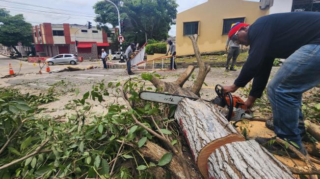 Afectaciones vendabal en Barranquilla