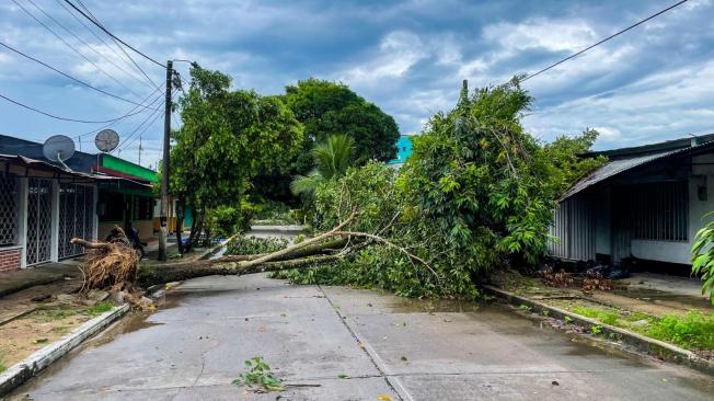 Vendaval causó daños en viviendas