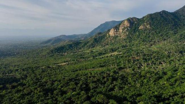 Paisaje del Cesar