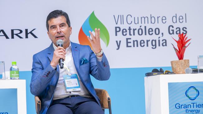 Presidente de la ANH, Orlando Velandia.