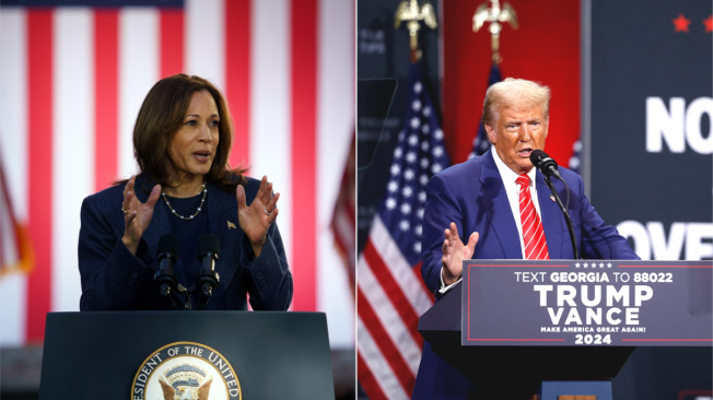 Kamala Harris y Donald Trump se disputarán la presidencia de Estados Unidos.