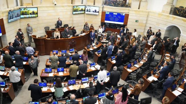Plenaria del Senado de la República.