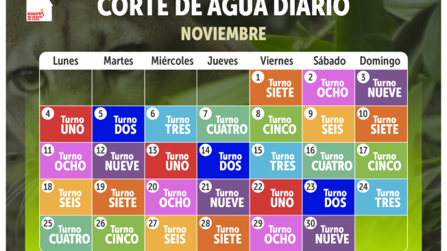 El calendario completo.