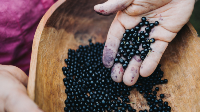 Esta fruta es adaptable a diversas condiciones climáticas.