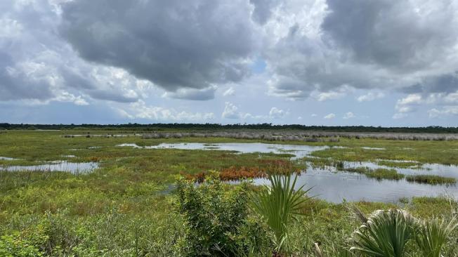 El lugar ofrece senderos para transitar caminando, en bicicleta o automóvil donde se visualiza la vida silvestre del lugar; con cientos de aves y animales en extinción que se refugian en el área.