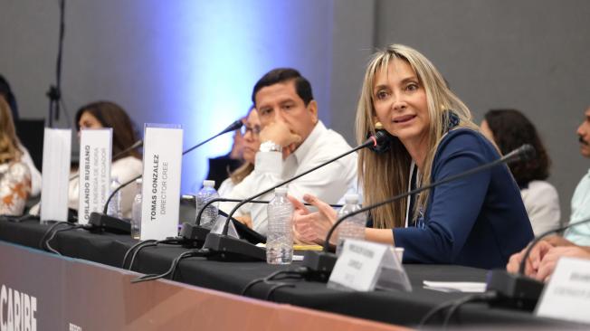 Alexandra Hernández, presidente ejecutiva de SER Colombia, el gremio de las energías renovables