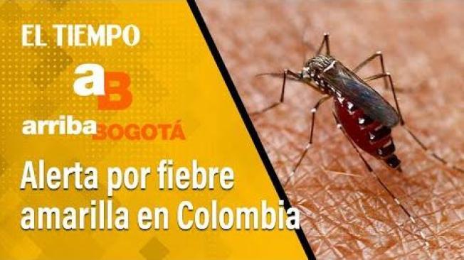  Alerta por aumento de casos de fiebre amarilla en Colombia | El Tiempo