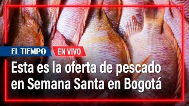 Esta es la oferta de pescado para Semana Santa en Corabastos | El Tiempo