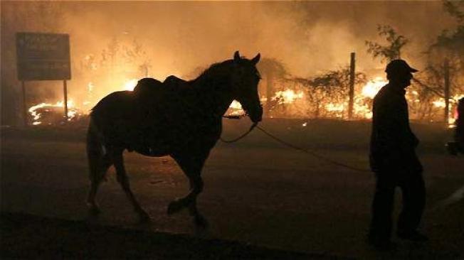 Un campesino abandona la zona del incendio cerca al pueblo de Santa Olga en el sur de Chile.Pablo Sanhueza /REUTERS