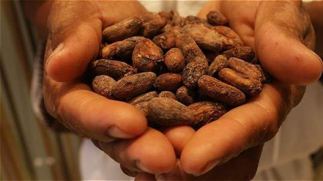 Cacao y vidrio, entre lo que más exportó el Valle