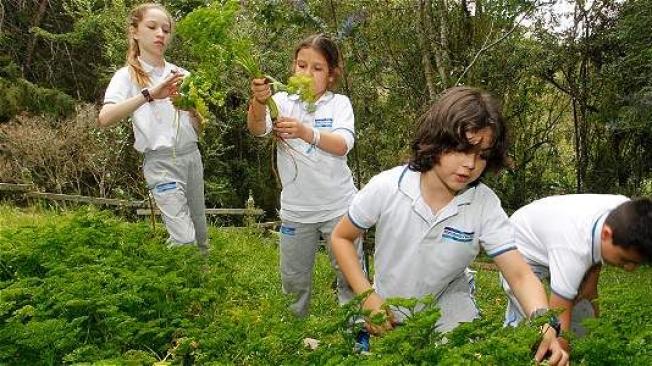 Un gran bosque, un arroyo, árboles y plantas diversas, así como una huerta permiten que los estudiantes exploren el entorno a diario. Guillermo Ossa / EL TIEMPO