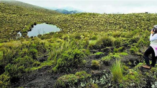 Los espejos de agua, junto con la vegetación y los paisajes, son otro de los atractivos naturales de esta zona de páramos. Guillermo Ossa / ETCE