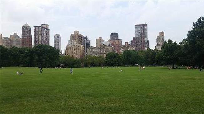 El Central Park, ubicado en Manhattan, Nueva York, es el más visitado de los Estados Unidos. / Foto: Archivo particular.