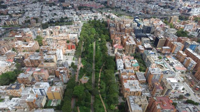 Con una mayor vegetación, una ciudad como Bogotá podría reducir su temperatura hasta en cuatro grados, según investigaciones de la Universidad Javeriana.