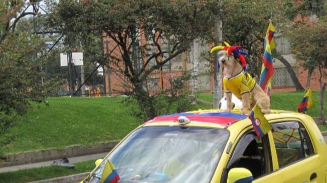 Coronel es también un fiel hincha de la Selección Colombia, cada vez que juega se pone la camiseta.