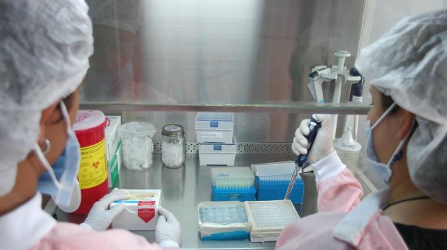 Un grupo de científicos españoles han logrado que virus modificados genéticamente ataquen de forma selectiva a las células tumorales