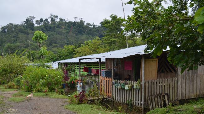 La comunidad vive en una zona rodeada por un cerco con alambre de púas.