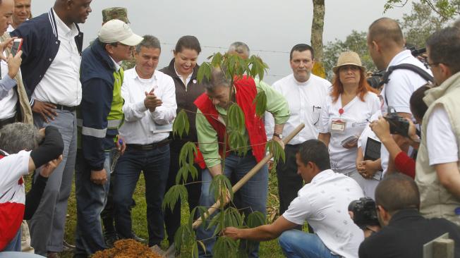 El presidente, Juan Manuel Santos, sembró uno de los 1.500 árboles que se entregaron en Santa Ana.
