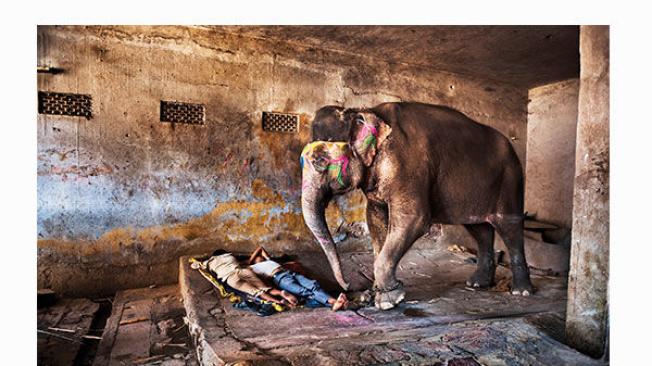 Rajastán, 2012. Mahouts duermen con su elefante.
