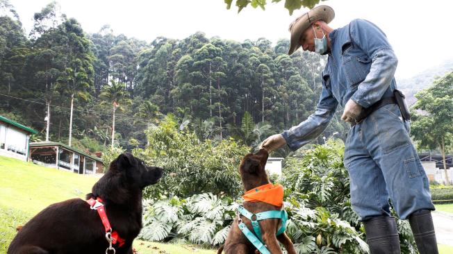 En el Centro de Bienestar Animal La Perla de Medellín hay 20 caninos con alguna discapacidad que llevan años esperando a un amo.
