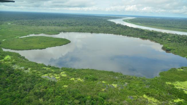 El 20 por ciento de la Amazonia se caracteriza por ecosistemas de humedales.