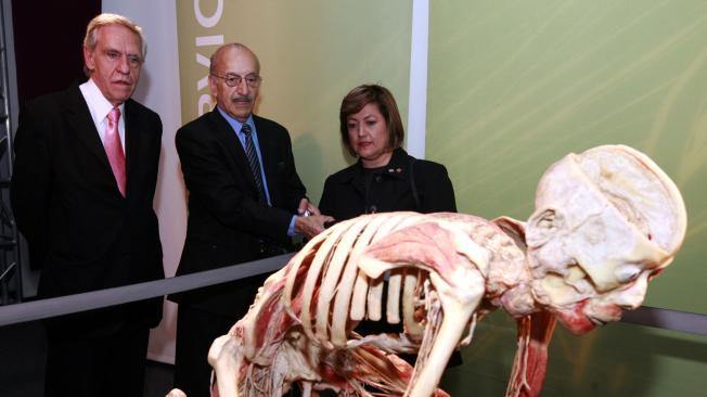 En el centro Alfredo León, el científico que preparó 246 momias que se encuentran en exhibición.