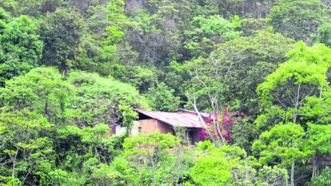 Enclavada en una ladera boscosa, en La Vega de San Antonio, en El Catatumbo, está la casa donde mataron al militar.