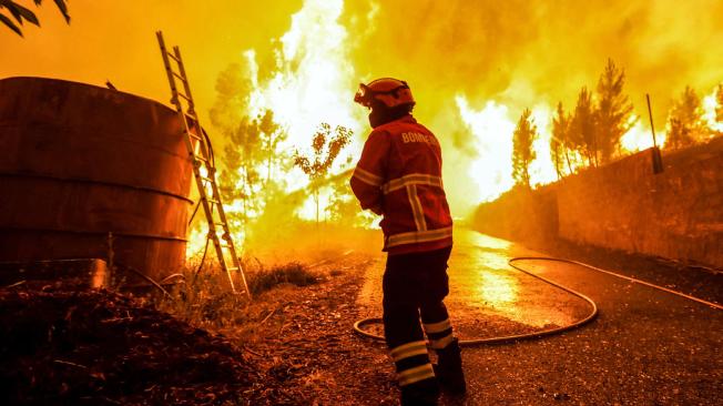 Un total de 733 bomberos están prestando asistencia desde el sábado, cuando se declaró la emergencia en el lugar.