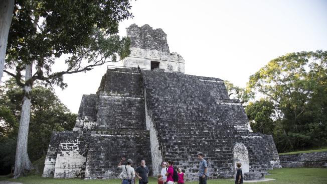 Solo el 15 por ciento de los templos y pirámides de Tikal ha sido restaurado.