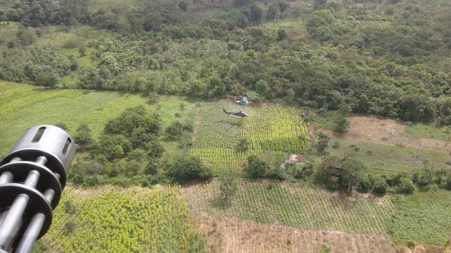 Los helicópteros sobrevolaron los cultivos de coca de la región
