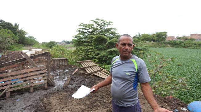 Heriberto Mosquera dice que vive de lo que le producen sus 60 vacas en cercanías a laguna El Pondaje que ha tenido arreglos de Alcaldía.