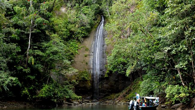 La cascada de ‘La Sierpe’  es una de las más visitadas. El agua dulce, en su mayoría de lluvia, recorre la selva y cae desde 60 metros de altura.