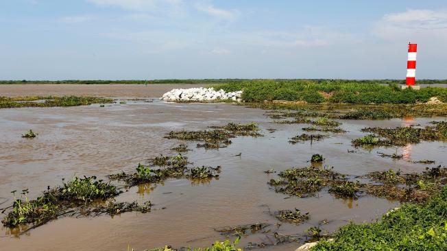 Una larga mancha de aceite flotó sobre el río Magdalena y navegó hasta la desembocadura del mismo en Bocas de Ceniza.