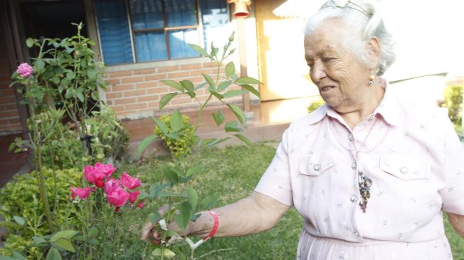 Según el perfil demográfico 2016 – 2020, en Medellín hay 395.788 adultos mayores de 60 años.