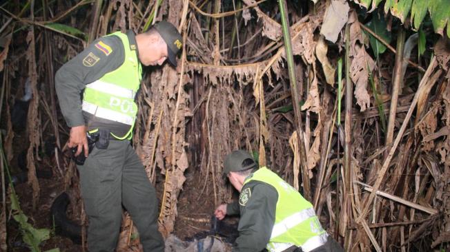 Policías la hallaron en cercanías al asentamiento humano El Páramo, del municipio de Floridablanca (Santander).