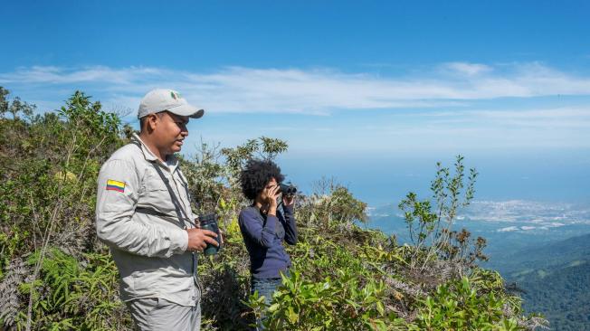 Para el avistamiento de aves se necesitan unos binoculares, una guía de campo de las aves de Colombia y tener una actitud contemplativa.