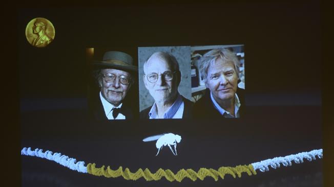 Estadounidenses Jeffrey C. Hall, Michael Rosbash y Michael W. Young ganan Premio Nobel de Medicina