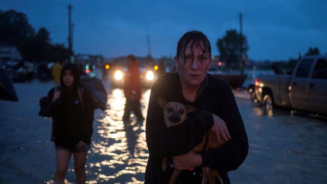 El paso de Harvey dejó inundaciones y damnificados en Houston.