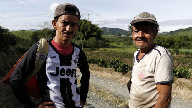 Los dos recolectores muestran las camisetas de la Selección Colombia y del Club Juventus de Italia, que utilizan para recoger la cosecha de café.