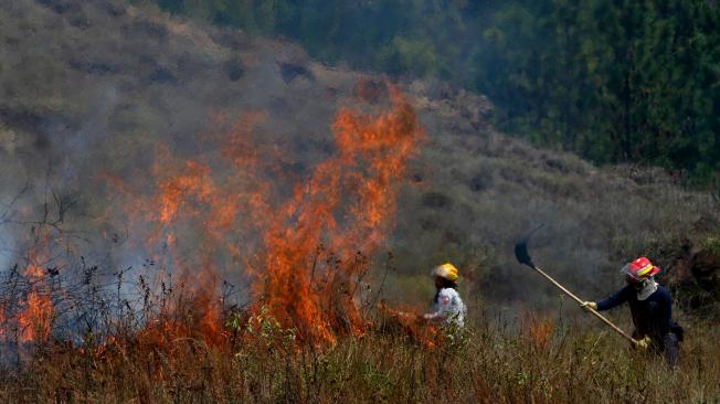 El sector de Gaira, al sur de Santa Marta, ha sido víctima de incendios forestales en repetidas ocasiones.