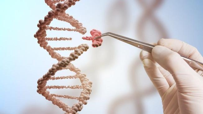 Con los avances en el campo de la medicina y la tecnología nuestro entendimiento del genoma humano está avanzando cada vez más rápido.