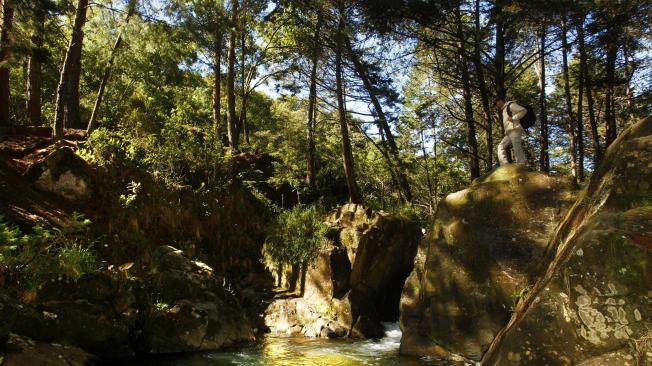 El Parque Arví fue finalista en un premio internacional de turismo sostenible. El ganador se conocerá el 19 de abril.