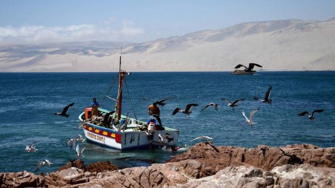 Pisco es una ciudad pesquera que se encuentra a 230 kilómetros al sur de Lima. (Franck Fife)