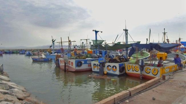 Los lunes, miércoles y viernes son los días en que los buzos artesanales van al puerto de Pisco. (Foto: V. M. Vásquez)