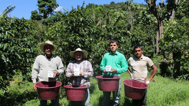 Productores de café en una finca certificada como Jaguar Friendly. Campesinos que ayudan a conservar el hábitat del felino.