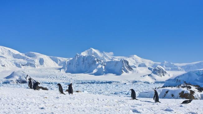 - La Antártida: el lugar más frío del planeta.
Además de los pingüinos, focas y ballenas que se pueden apreciar en este lugar, el continente austral es un excelente destino para apreciar la Tierra desde el océano. Lonely Planet recomienda ir entre noviembre y marzo.